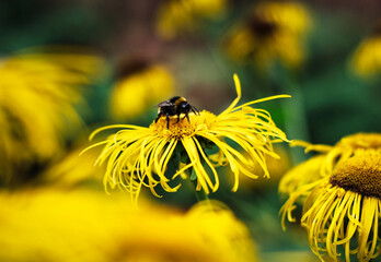 Nature life © Alaska