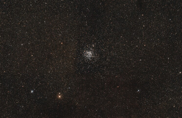 Wild duck cluster © Yanis