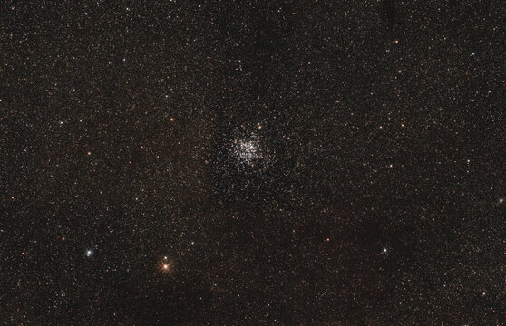 Wild duck cluster
