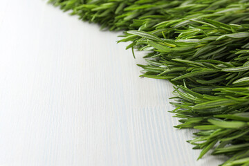 Seasoning and spices, rosemary, concept of seasoning