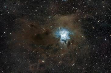 Iris nebula