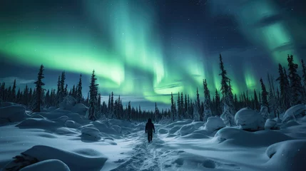Foto auf Acrylglas Nordlichter The Northern Lights