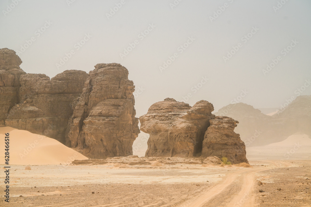 Sticker iew in the Sahara desert of Tadrart rouge tassili najer in Djanet City  ,Algeria.colorful orange sand, rocky mountains