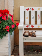 Vilnius, Lithuania - 07 15 2023: Beautiful bench near a cafe in the center of Vilnius