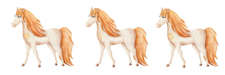 Watercolor illustration. Hand painted brown and beige horse. Mare with golden long tale and mane. Purebred stallion. Mustang. Cartoon horse animal standing in profile. Isolated clip art for banners © Olga Sidelnikova