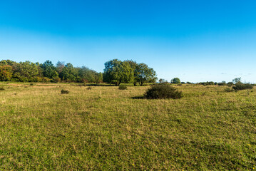 Naturschutzgebiet Grosser Weidentecih near Plauen city in Germany
