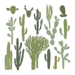Set of hand drawn different cactuses