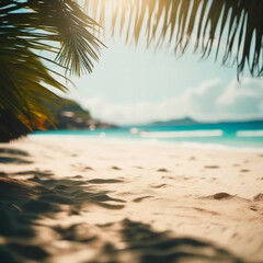 Fototapeta na wymiar Summer time beach with palm tree leaf background image