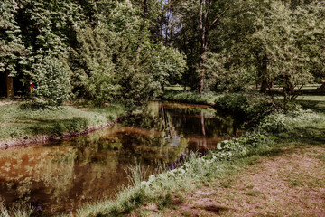 Sicht auf einen Fluss durch den Schlosspark Pankow - obrazy, fototapety, plakaty