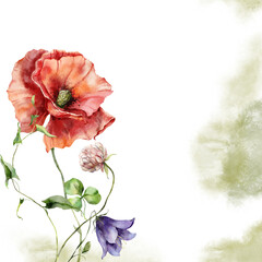 Watercolor meadow flowers card of poppy, campanula and clover. Hand painted floral poster of wildflowers isolated on white background. Holiday Illustration for design, print, fabric or background. - 628484940