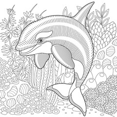 Adult colouring page with a dolphin. Outline intricate underwater design.
