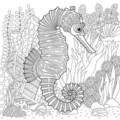 Adult colouring page with a seahorse. Outline intricate underwater design.