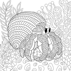 Adult colouring page with a hermit crab. Outline intricate underwater design.