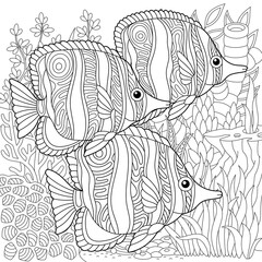 Adult colouring page with butterflyfish fishes. Outline intricate underwater design.