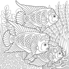 Adult colouring page with flowerhorn fishes. Outline intricate underwater design.
