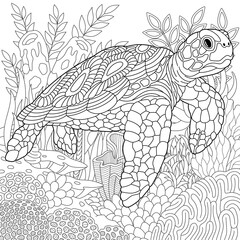 Adult colouring page with a turtle. Outline intricate underwater design.