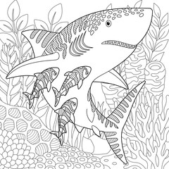 Adult colouring page with a shark and fishes. Outline intricate underwater design.