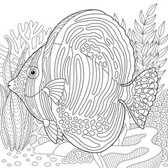 Adult colouring page with a sailfin tang fish. Outline intricate underwater design.