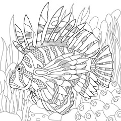 Adult colouring page with a lionfish. Outline intricate underwater design.