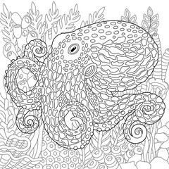 Adult colouring page with octopus. Outline intricate underwater design.