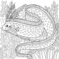 Adult colouring page with oarfish. Outline intricate underwater design.