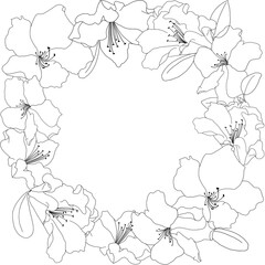Flower frame in Black and White