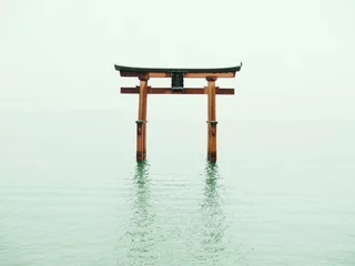 Tuinposter Japanese torii of shrine in water © Etwa