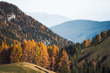 Autumn landscape at Alpe di Siusi sunrise in The Dolomites South Tyrol Italy