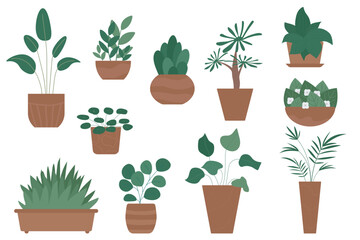 Set of indoor plants in pots. Cartoon indoor decorative plants in flat style for home and office. Illustration isolated