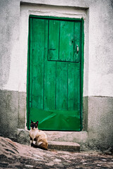 gatos en la puerta de una casa