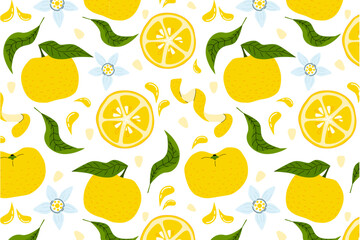 Yuzu fruits, leaves, flowers, seeds and yuzu peel seamless pattern o white background. Juice exotic citrus  plant graphics for printing or packaging.