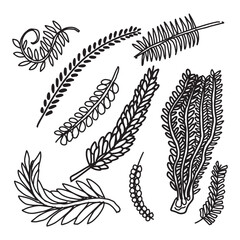 set of Floral branch and minimalist leaves. Hand drawn line of leaves, Minimal line art drawing for print, cover or wallpaper