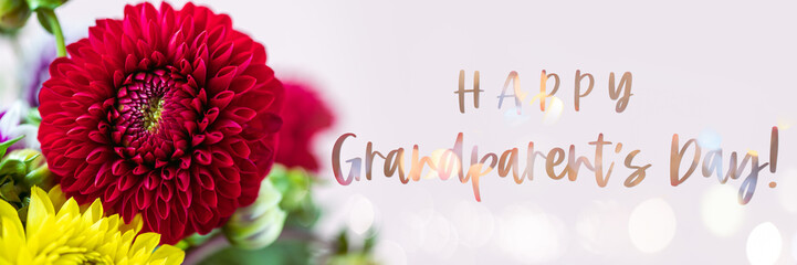 Text Happy Grandparents Day. Beautiful dahlias on pink background. Bouquet of colorful dahlia flowers.