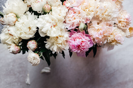 Macro shot of fresh bunch of peonies bouquet of white and pink colors. Card Concept, gentle abstract floral background image, close up, shallow DoF