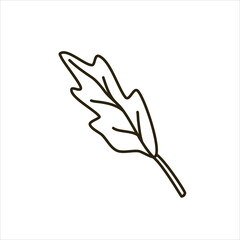 Vector line doodle illustration of a leaf. Autumn, nature, trees, good for colorbooks.