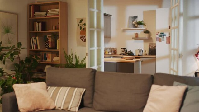 Medium shot of cozy apartment with big sofa, wardrobe, plant in living room and cozy small kitchen in background