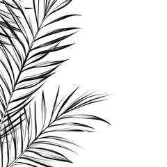 White Background With Black Outline Drawing Palm Leaves Cartoon, 2D, Black And White. Generative AI
