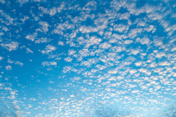 Fototapeta na wymiar Gorgeous blue sky background in summer with small clouds