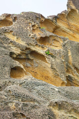 夏の岩戸海岸の風景 鳥取県 岩戸海岸