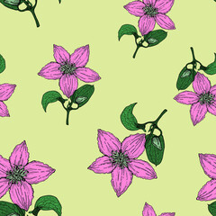 Clematis flower, color pattern on yellow , for printing, for tableware, for office fabric and other things.