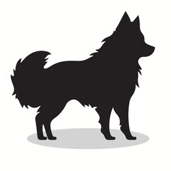 American Eskimo Dog silhouettes and icons. Black flat color simple elegant American Eskimo Dog animal vector and illustration.