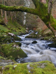 Mountain stream in Wales