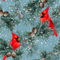 Seamless pattern. Cardinal birds and Fir branches. Christmas background. - 628520781