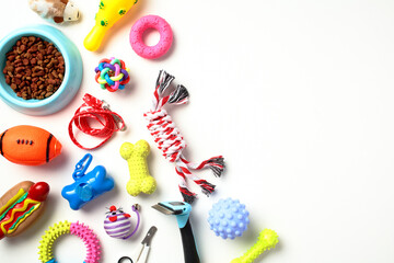 Colorful pet supplies and toys on white background. Flat lay, top view.