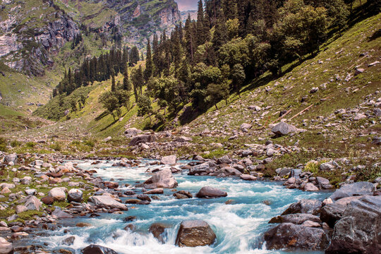 Mountain river in the mountains. The beautiful river flowing between alpine meadows in the lap of Himalaya, Parvati Valley. Trek to Hamta Pass, 4270 m, Manila, Himachal Pradesh, India.
