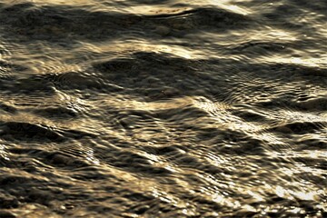 Golden sea with wave summer background 