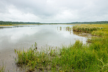 Tihu lake on island of Hiiumaa in Estonia. Beautiful summer nature.