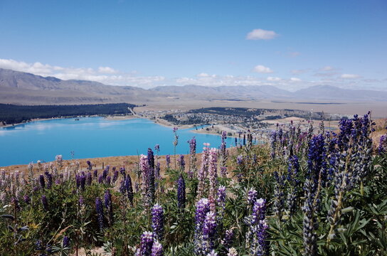 unrealistic scenery of lake