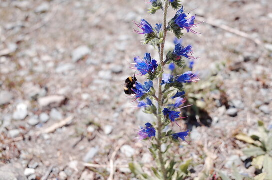 unrealistic scenery of lake