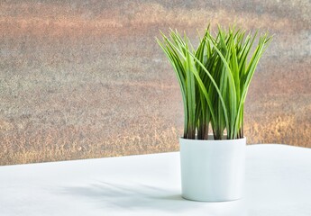 Contemporary interior design, artificial decorative potted plant on a white partial table and brown defocused feature wall.